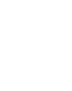 car-escudo-blanco